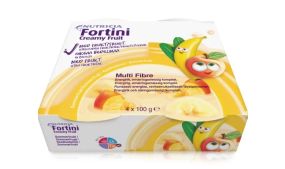 Fortini creamy fruit sommerfruit 4x100g